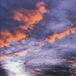 Meet your Posher, Callie